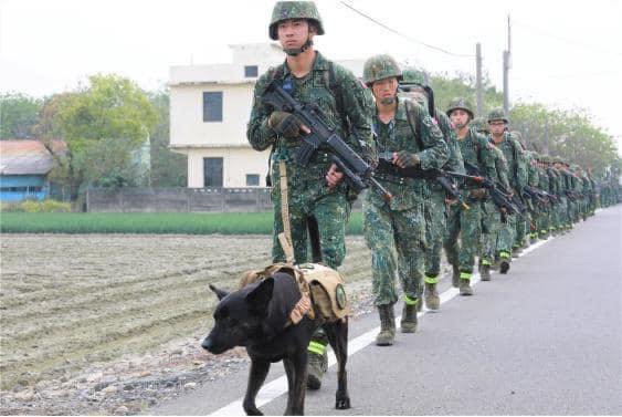 特戰犬Hola…… - 第2張圖