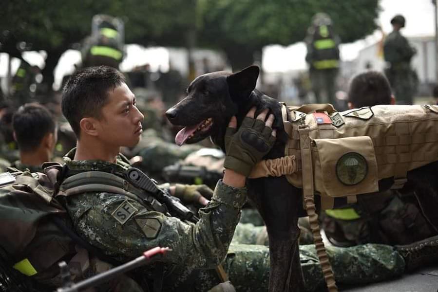 特戰犬Hola…… - 第3張圖